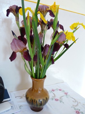 P1650860.JPG - small