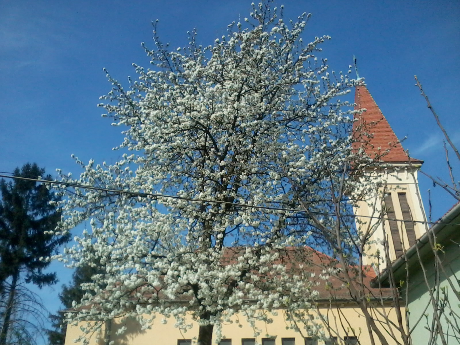 2015-04-16 09.19.45.jpg