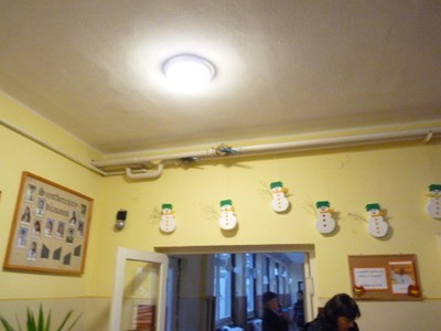 P1680162.JPG - small