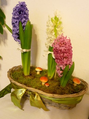 P1640838.JPG - small