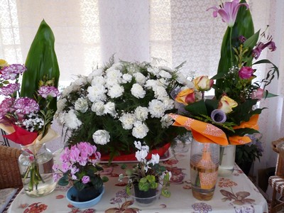 P1640411.JPG - small