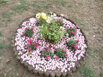 P1660600.JPG - small