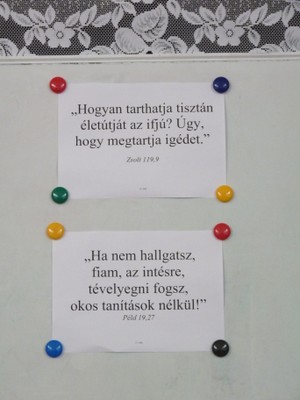 P1660779.JPG - small