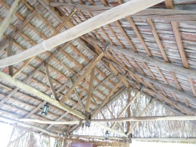 P1660795.JPG - small