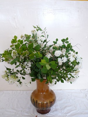 P1650825.JPG - small