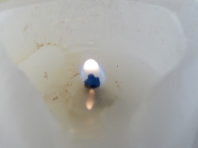 P1650491.JPG - small