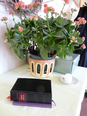 P1650498.JPG - small