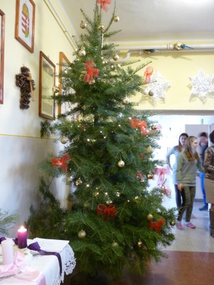 P1920104.JPG - small