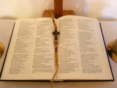 P1680876.JPG - small