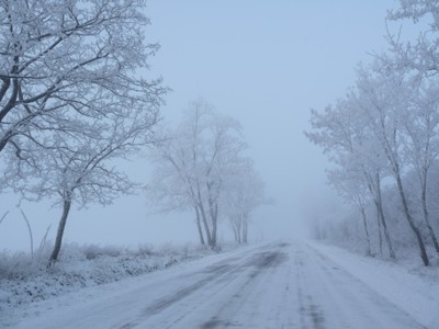 P1680790.JPG - small