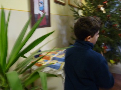 P1680683.JPG - small