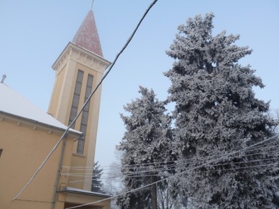 P1680795.JPG - small