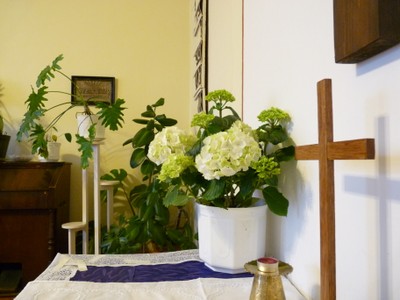 P1690165.JPG - small