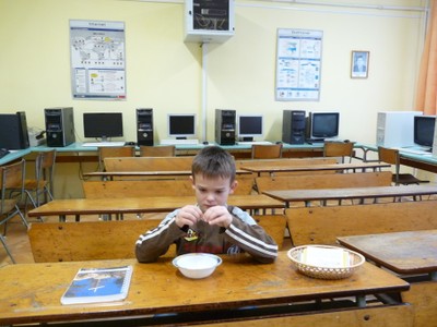 P1910655.JPG - small