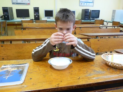 P1910656.JPG - small