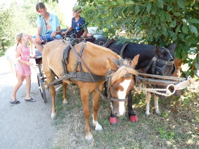 P1940005.JPG - small