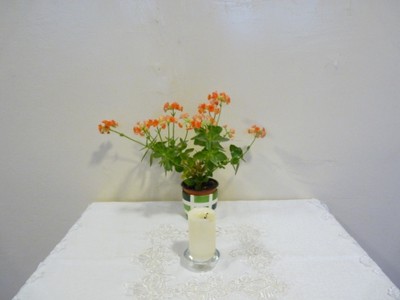 P1920833.JPG - small