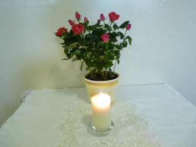 P1930193.JPG - small