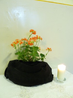 P1920775.JPG - small