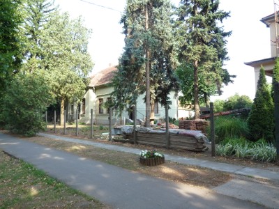 P1930863.JPG - small