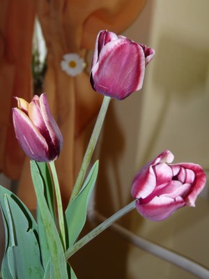 P1960745.JPG - small