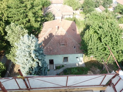 P1930850.JPG - small