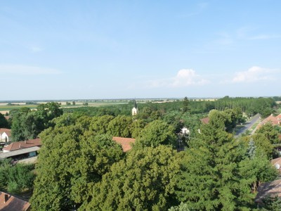 P1930851.JPG - small