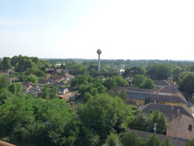 P1930853.JPG - small