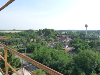 P1930854.JPG - small