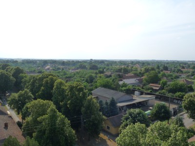 P1930855.JPG - small