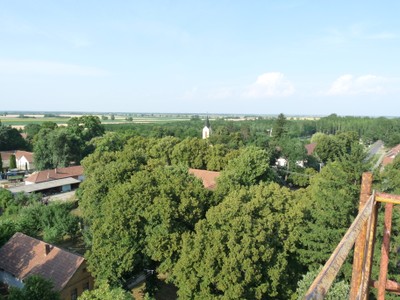 P1930857.JPG - small